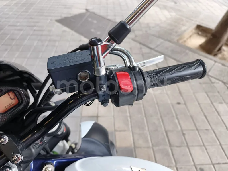 Suzuki Gladius 650 - Vista 10