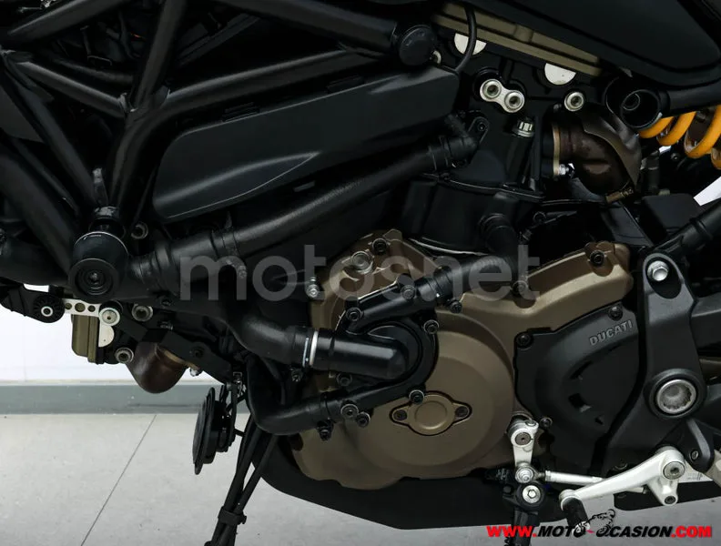 Ducati Monster 821 - Vista 10