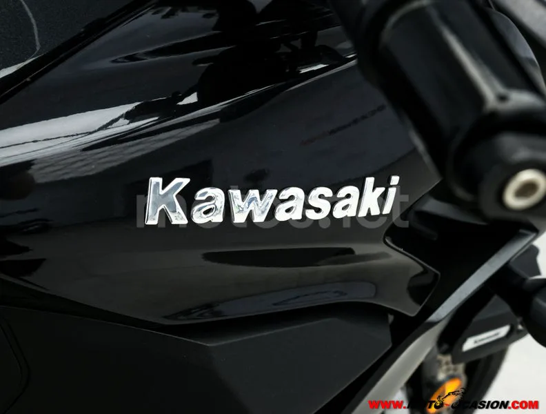 Kawasaki Versys 1000 - Vista 8