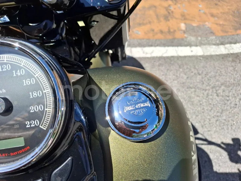 Harley-Davidson Softail Slim - Vista 11