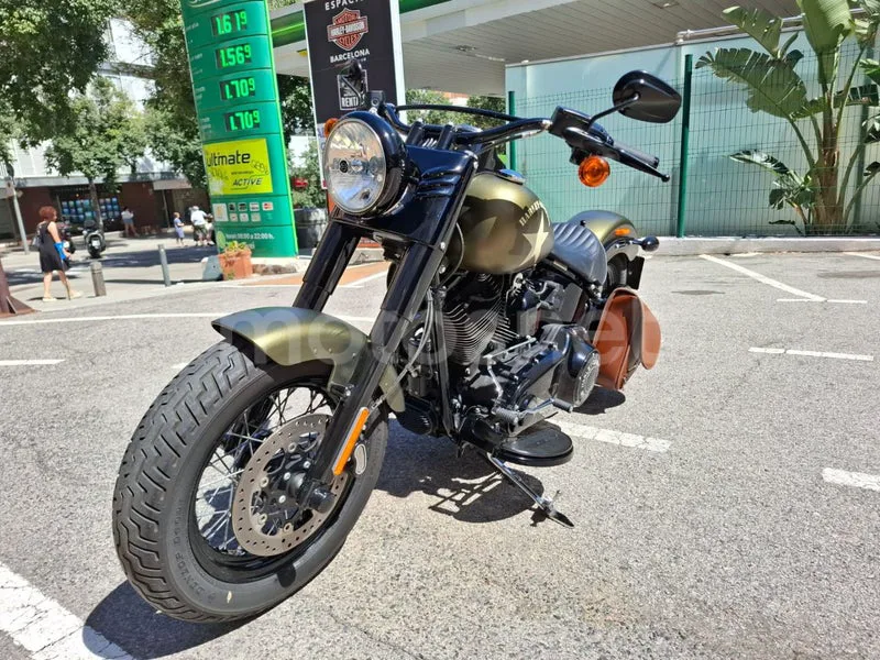 Harley-Davidson Softail Slim - Vista 12
