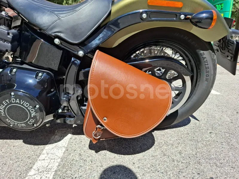 Harley-Davidson Softail Slim - Vista 13
