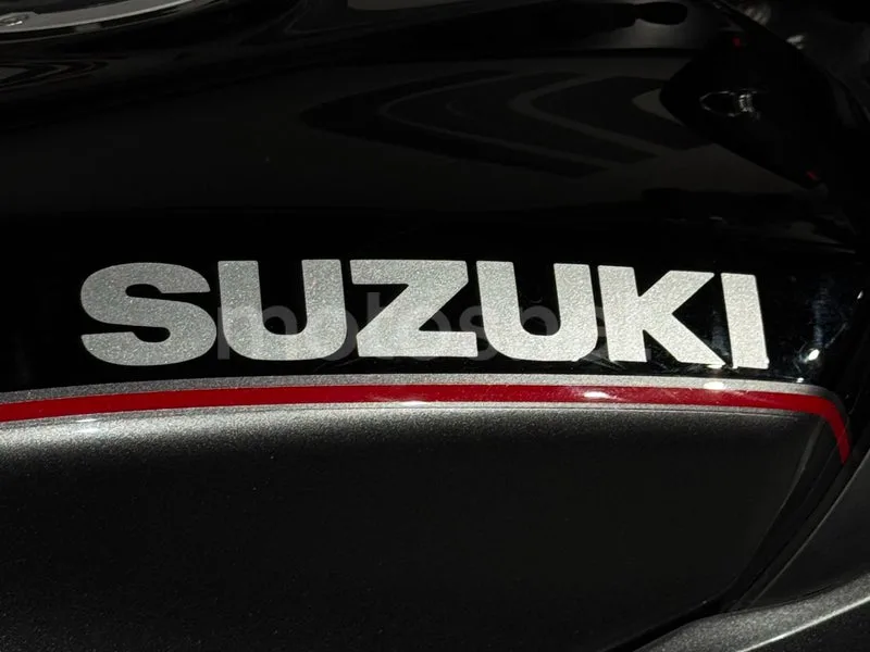 Suzuki SV650 - Vista 7