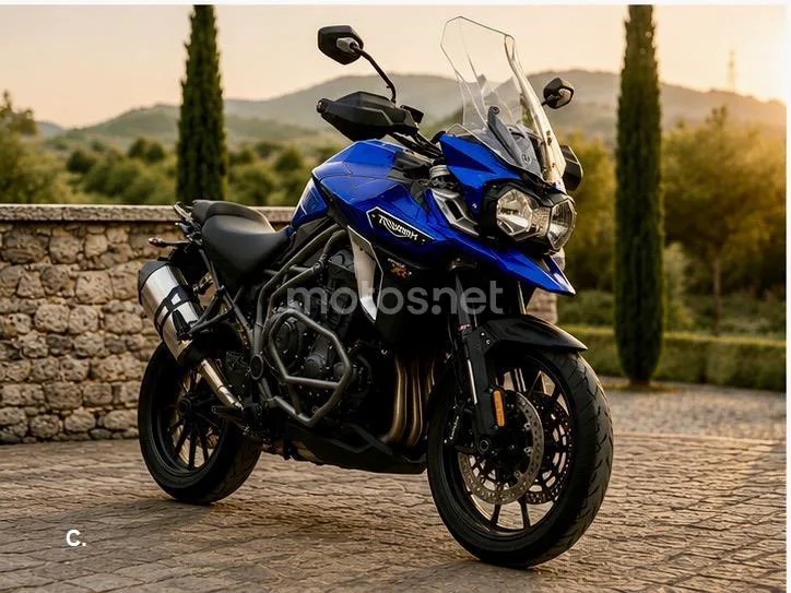 Triumph Tiger Explorer - Vista 3