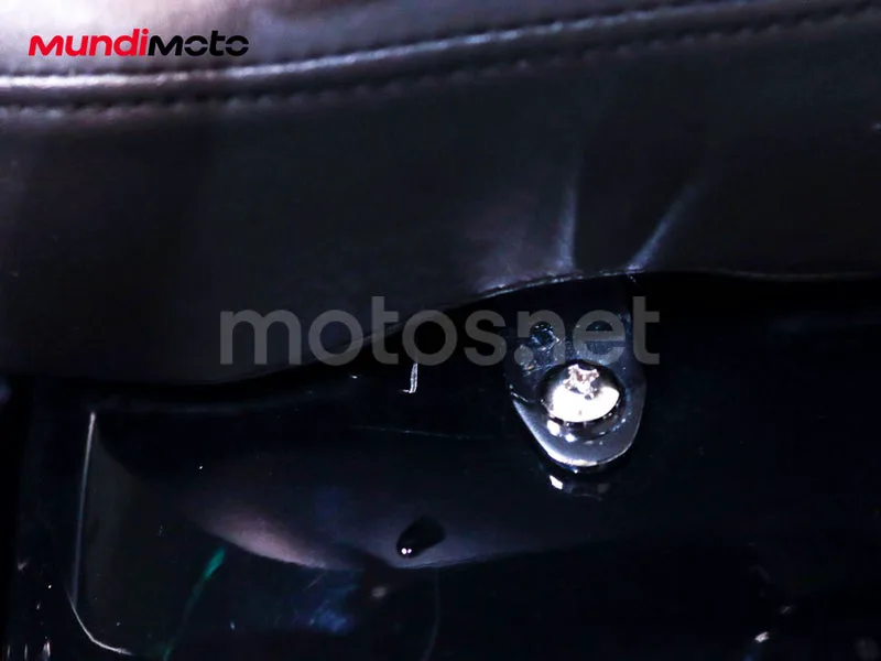 Harley-Davidson Softail Standard - Vista 24