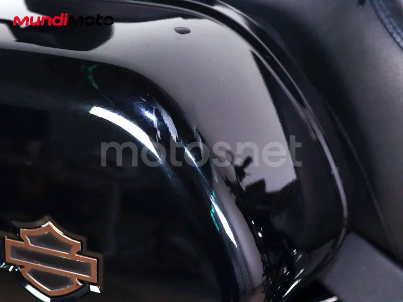 Harley-Davidson Softail Standard - Vista 29