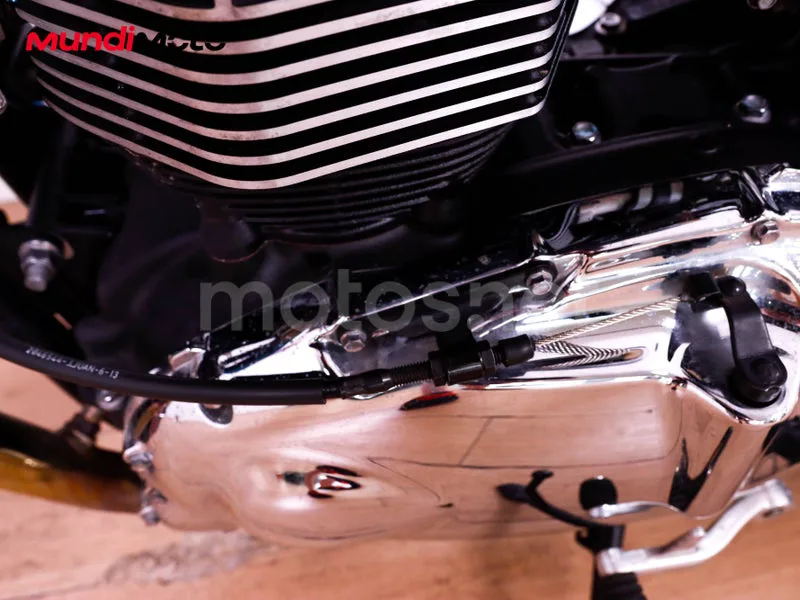 Triumph Bonneville T100 - Vista 18