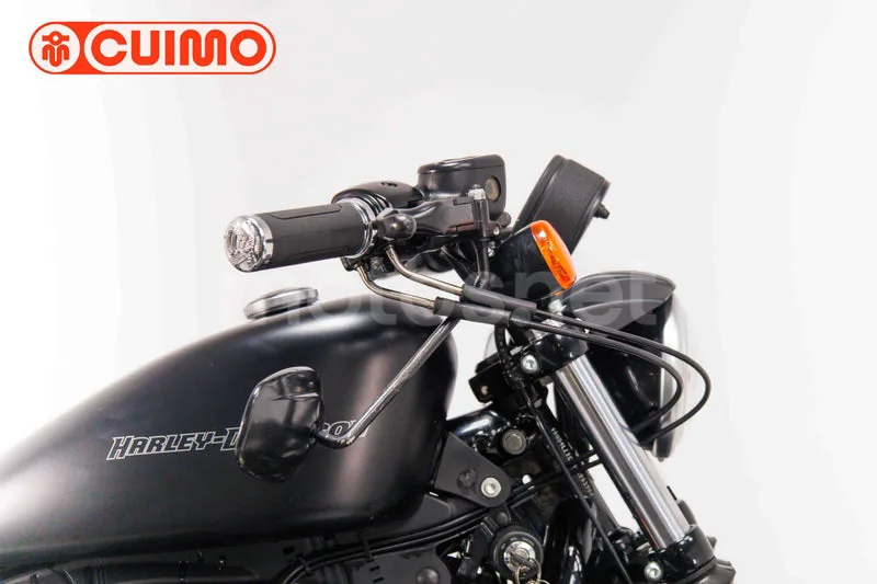 Harley-Davidson Iron 883 - Vista 13