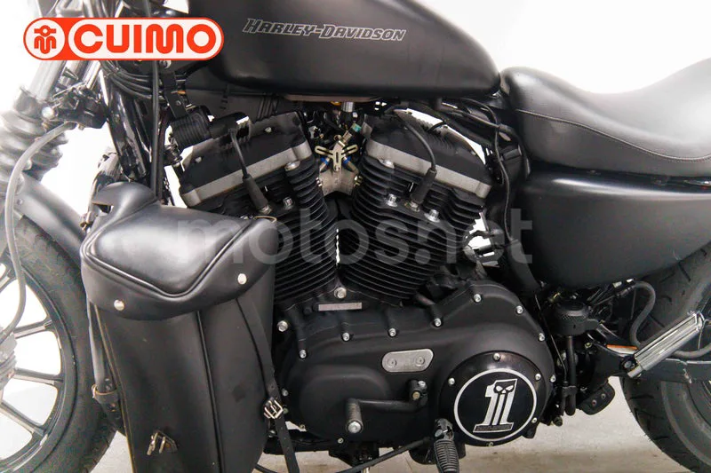 Harley-Davidson Iron 883 - Vista 25
