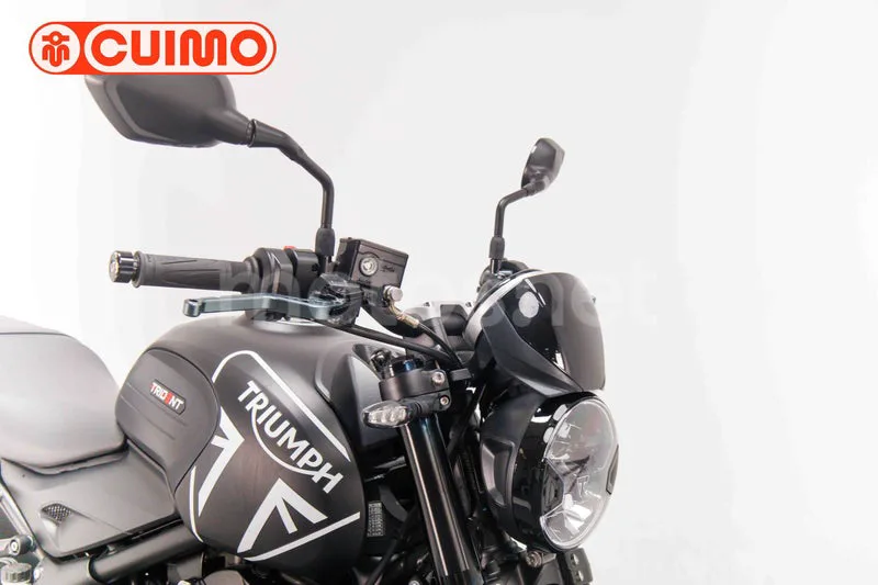 Triumph Trident 660 - Vista 19