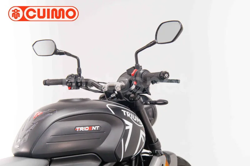 Triumph Trident 660 - Vista 32