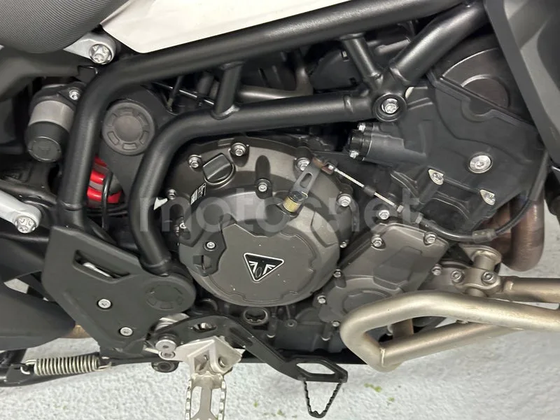 Triumph Tiger 900 - Vista 14