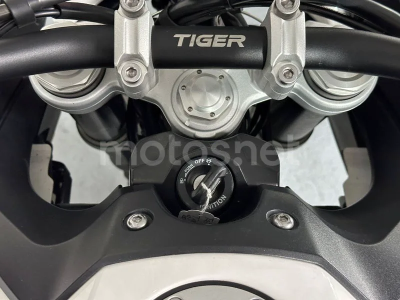 Triumph Tiger 900 - Vista 7