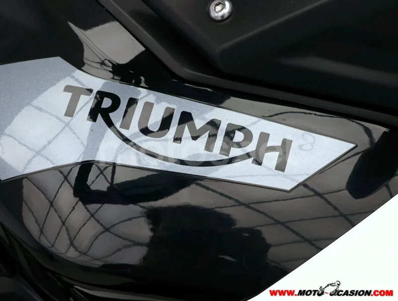Triumph Tiger 900 - Vista 8