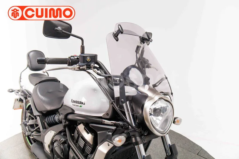 Kawasaki Vulcan S - Vista 11