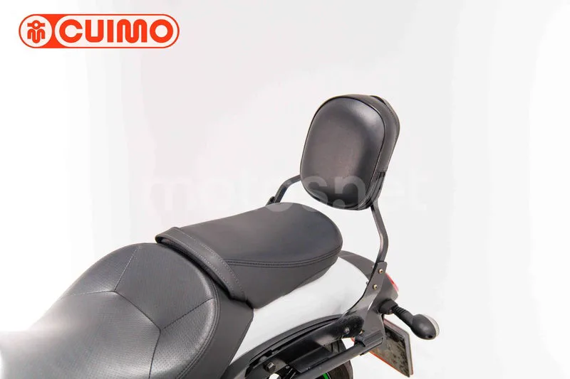 Kawasaki Vulcan S - Vista 26