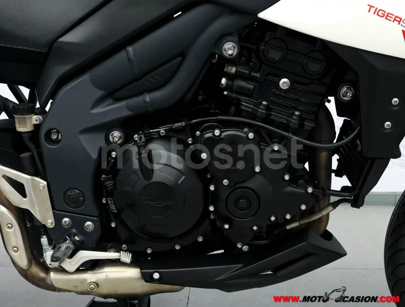 Triumph Tiger Sport 1050 - Vista 5