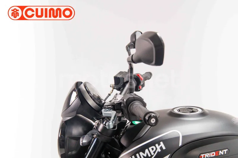 Triumph Trident 660 - Vista 21