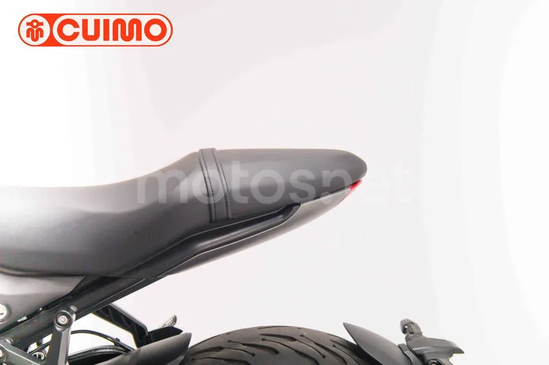 Triumph Trident 660 - Vista 25