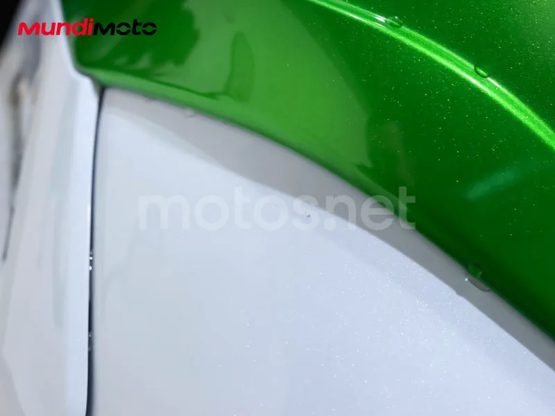 Kawasaki Z1000 - Vista 30