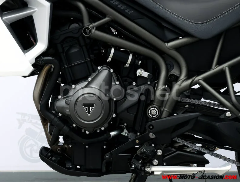 Triumph Tiger 800 XRT - Vista 9