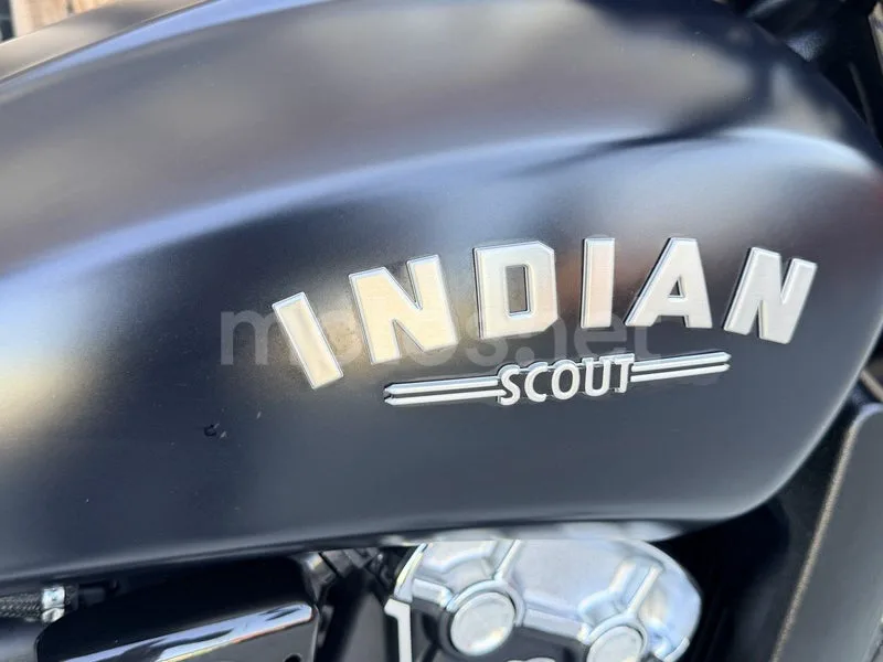 Indian Scout - Vista 17