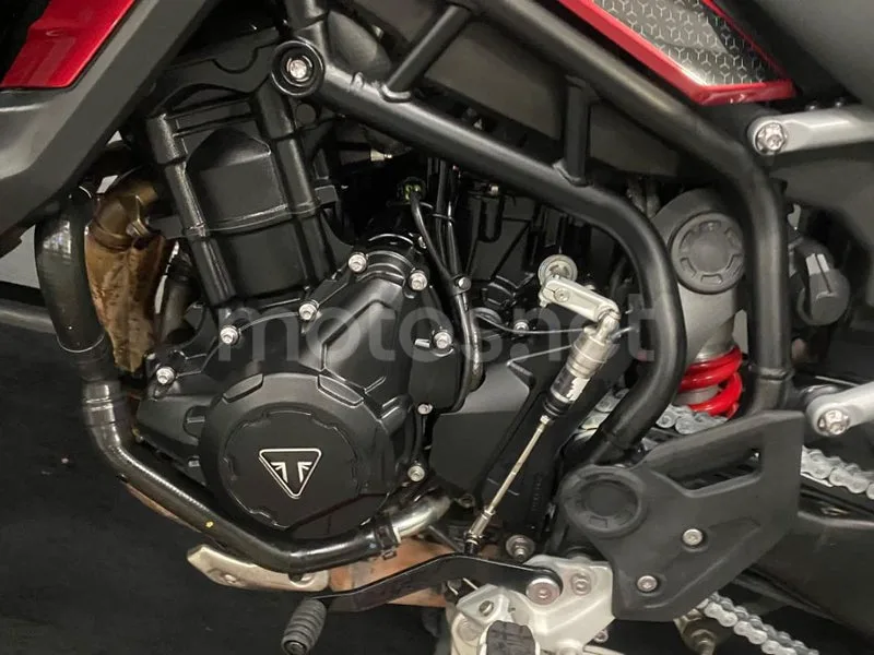 Triumph Tiger 900 - Vista 13
