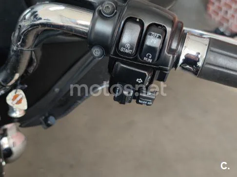 Harley-Davidson Electra Glide Standard - Vista 14