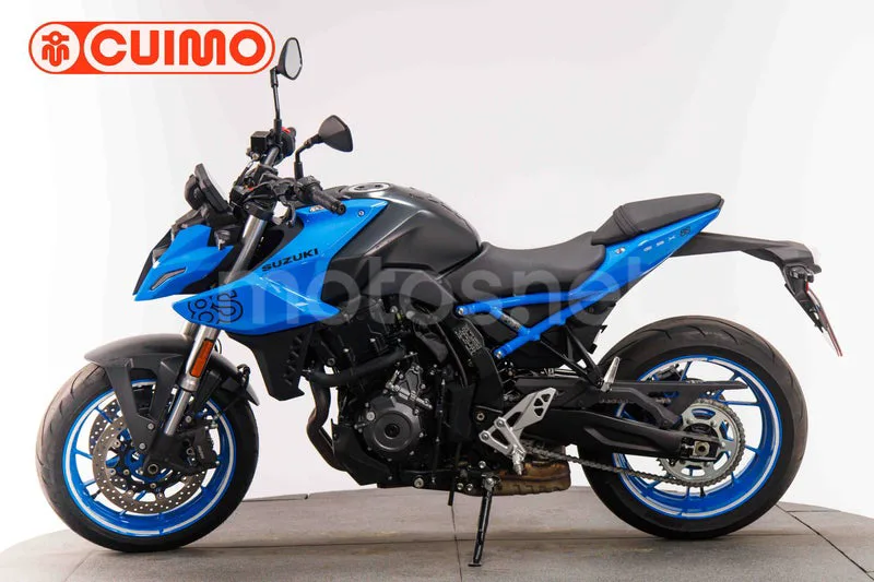 Suzuki GSX-8S - Vista 9