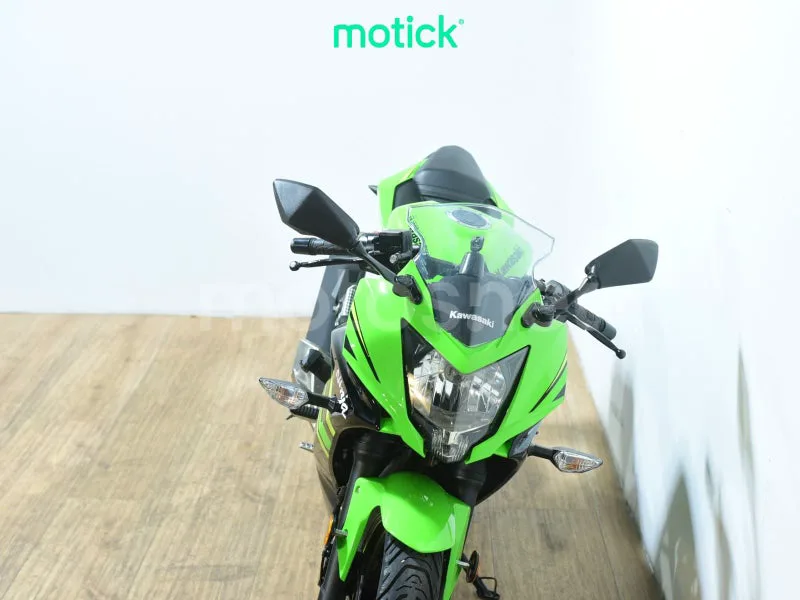 Kawasaki Ninja 125 - Vista 11