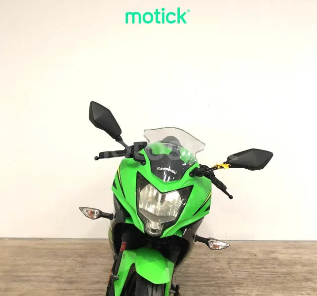 Kawasaki Ninja 125 - Vista 9