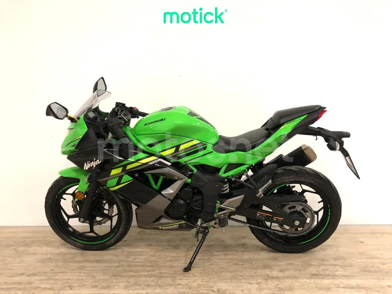 Kawasaki Ninja 125 - Vista 6