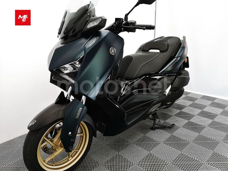 Yamaha XMAX 300 - Vista 16