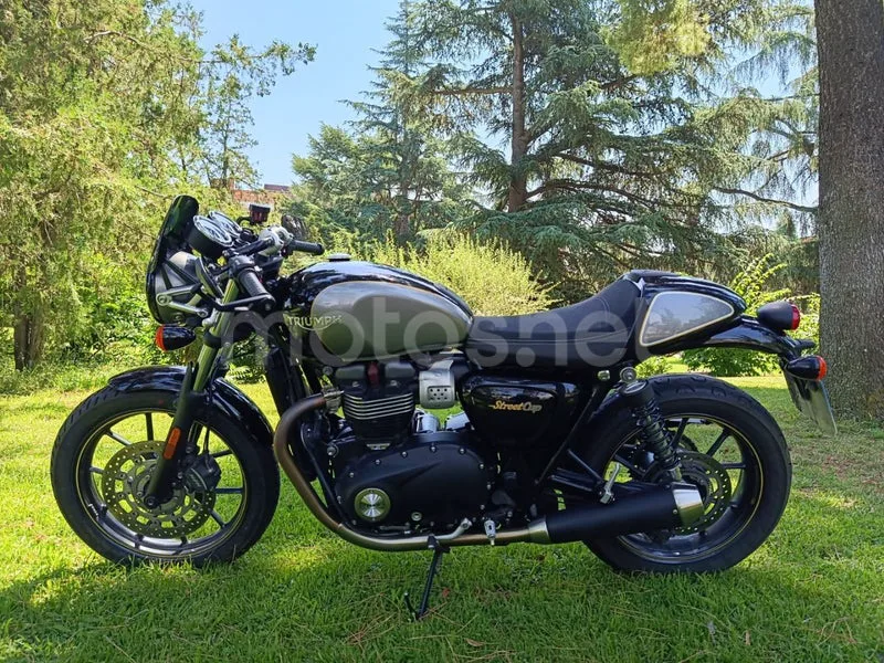 Triumph Street Cup - Vista 14