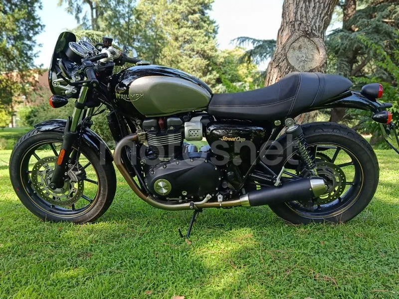 Triumph Street Cup - Vista 22