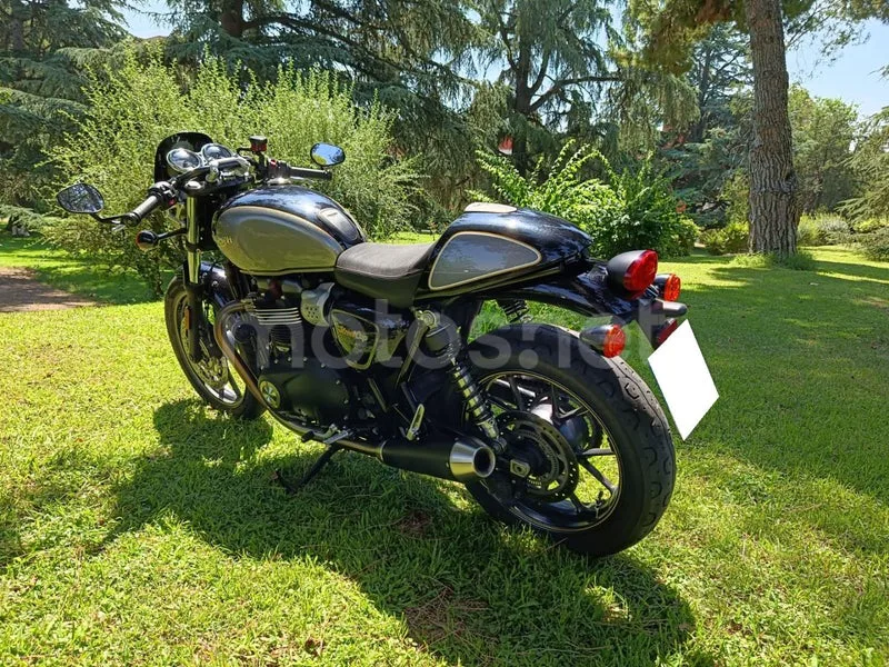 Triumph Street Cup - Vista 4