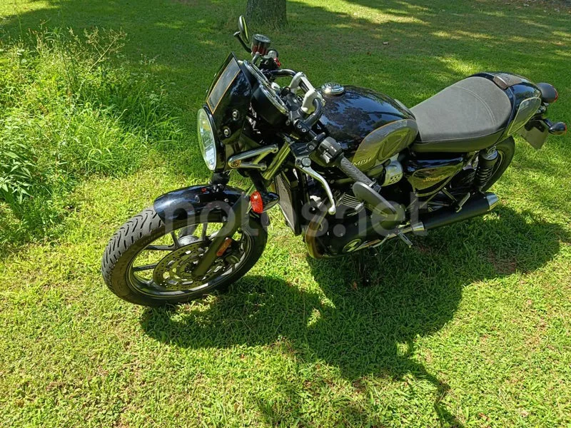 Triumph Street Cup - Vista 5