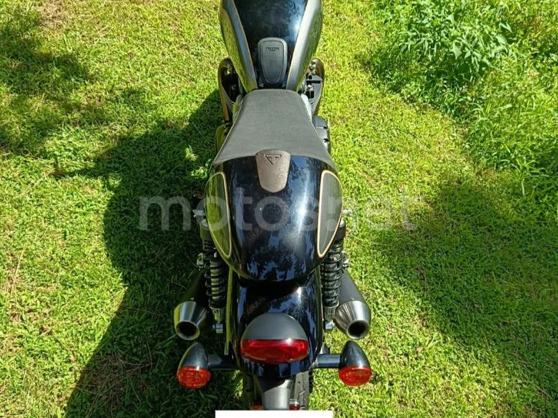 Triumph Street Cup - Vista 6