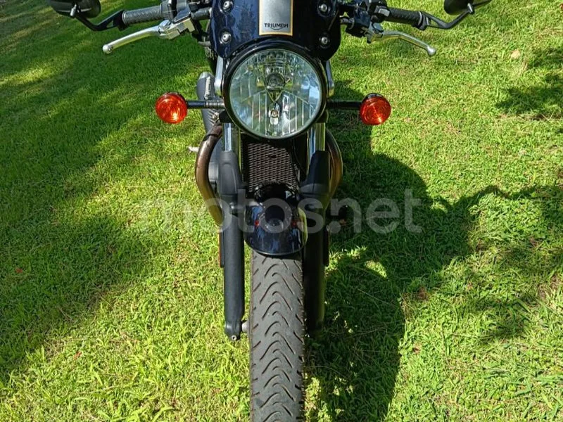 Triumph Street Cup - Vista 8