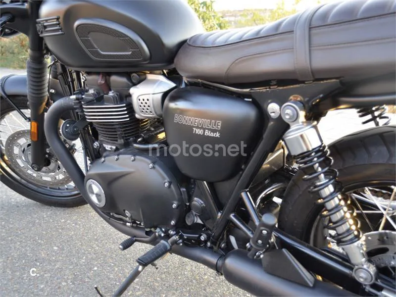 Triumph Bonneville T100 - Vista 8