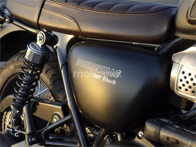 Triumph Bonneville T100 - Vista 10