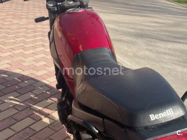 Benelli Leoncino 500 - Vista 5