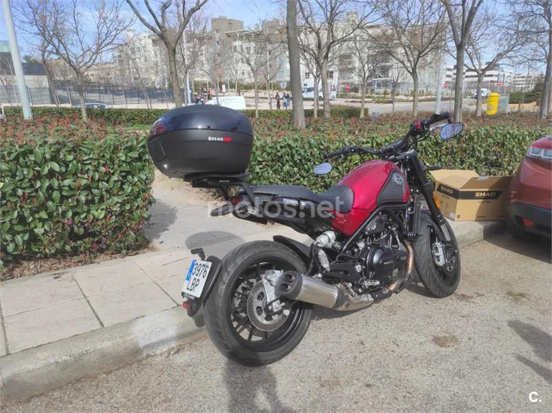 Benelli Leoncino 500 - Vista 3