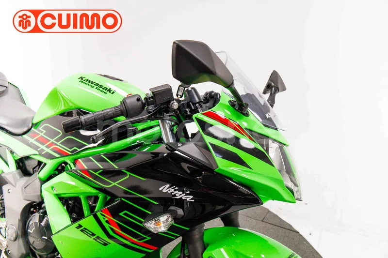 Kawasaki Ninja 125 - Vista 11