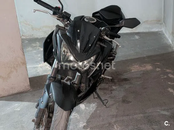 Kawasaki Z300 - Vista 5