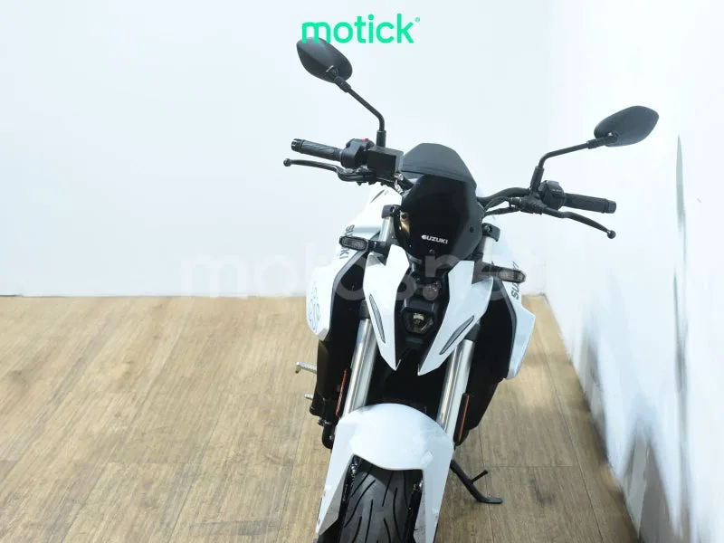 Suzuki GSX-8S - Vista 11