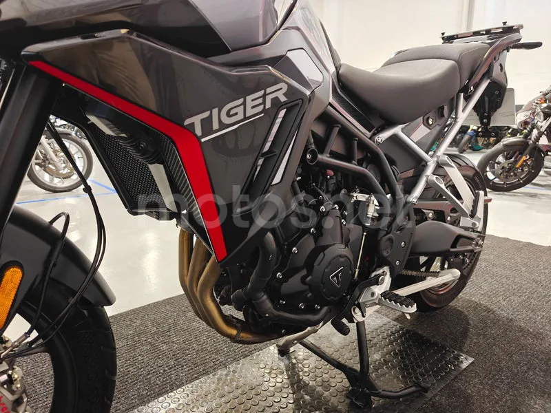 Triumph Tiger 900 - Vista 14