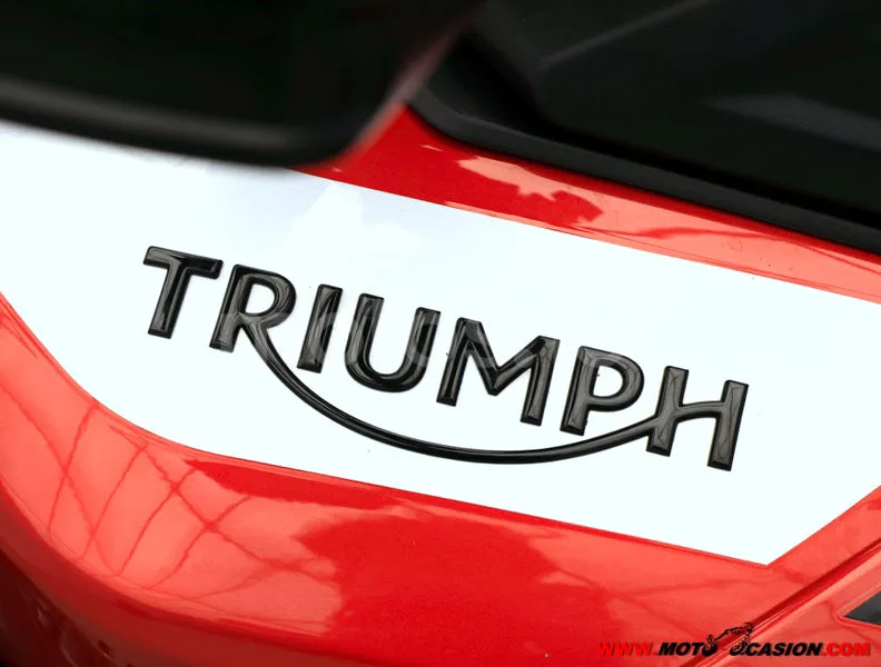 Triumph Tiger 900 - Vista 8