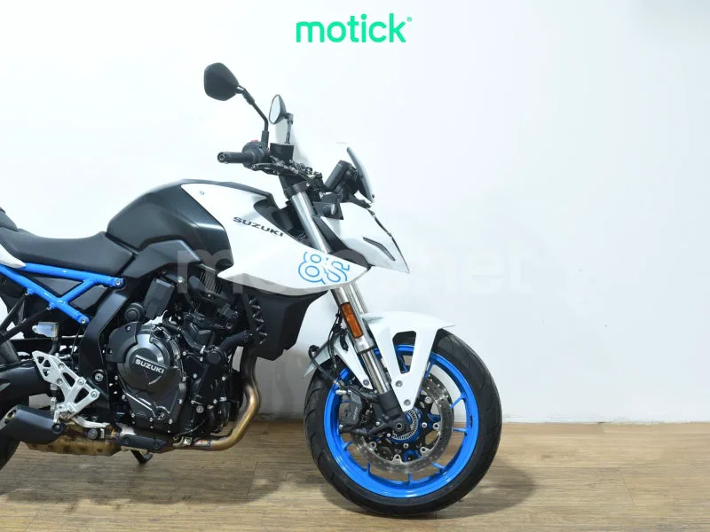 Suzuki GSX-8S - Vista 4