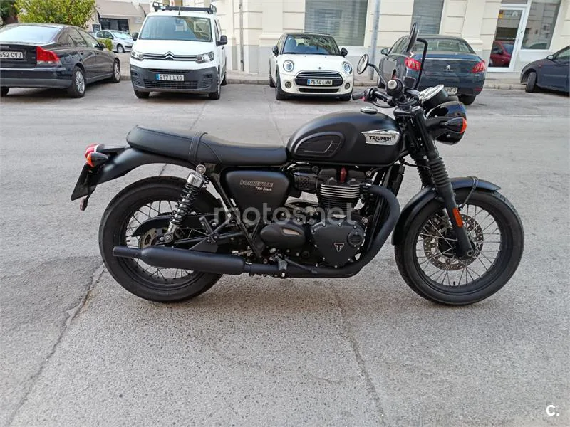 Triumph Bonneville T100 - Vista 7